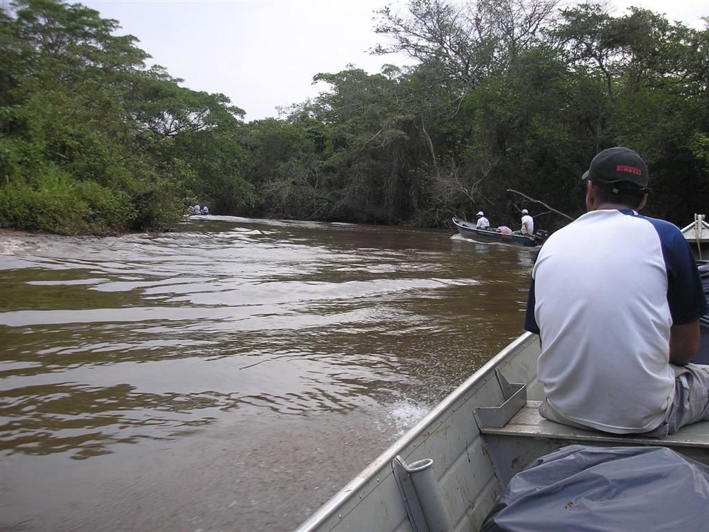 Foto de RIO JACARÉ PEPIRA -  LIMPO E PRESERVADO 