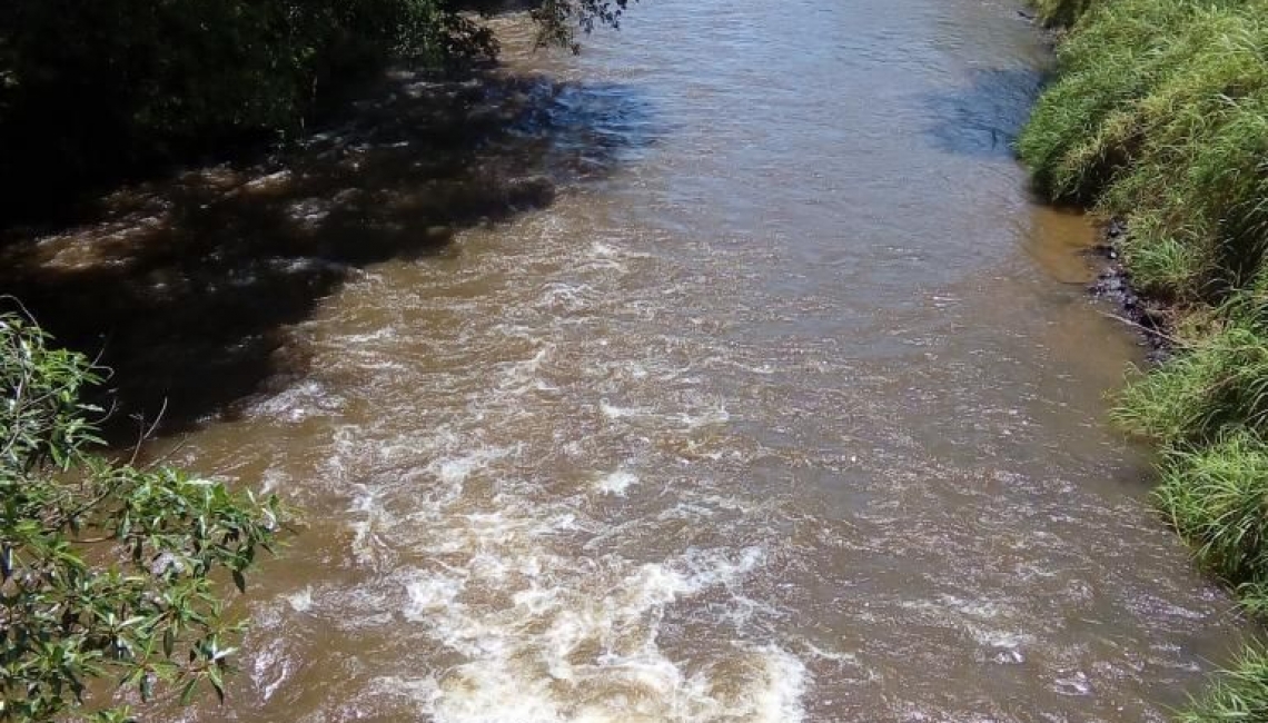 RIO JACARÉ PEPIRA -  LIMPO E PRESERVADO  - Imagem: riojacare3.jpg